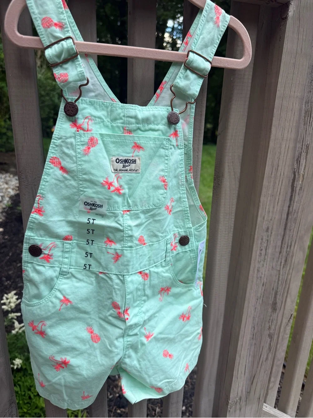 OshKosh B'gosh Mint Green Short Overalls with Pink Pineapple Print
